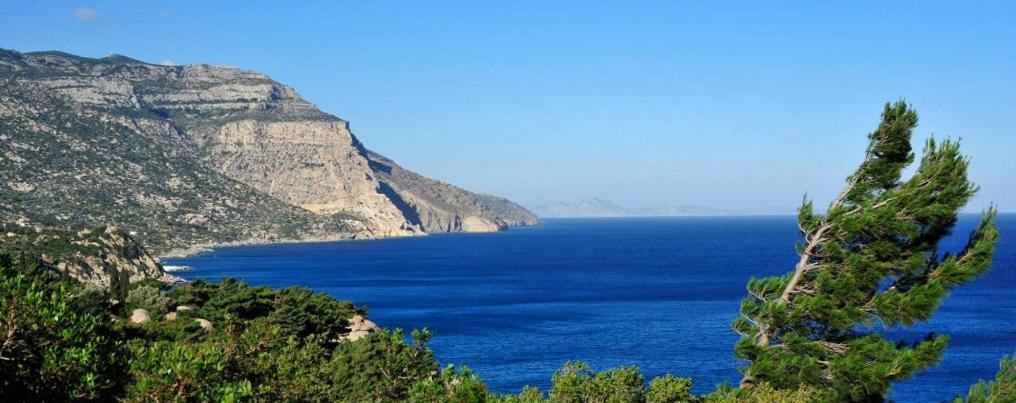 Ikaria Studios Manganítis エクステリア 写真